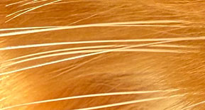 Информационный 1