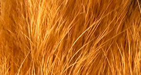 Название партнера